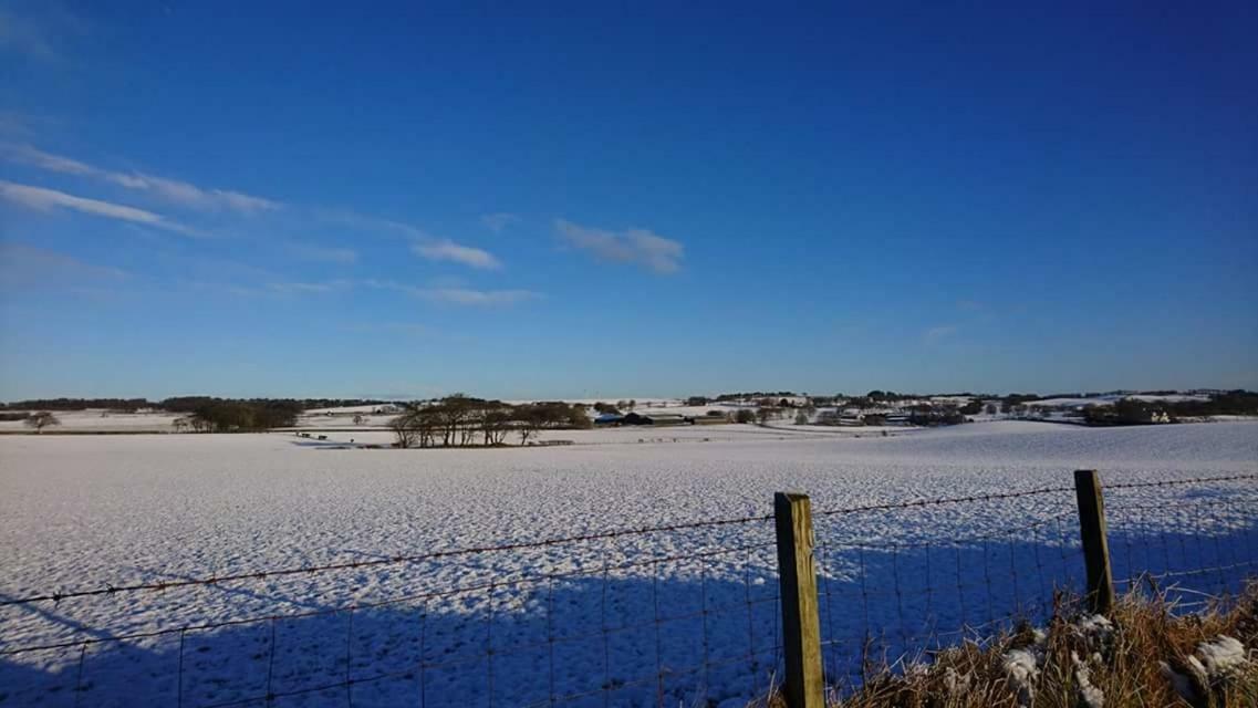 The Haven Cottage Slamannan Exterior photo